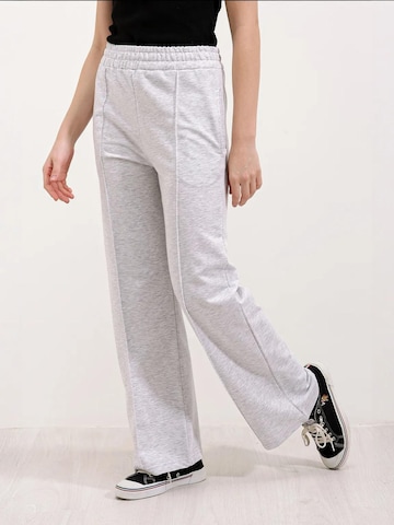 Bigdart - Regular Calças em cinzento