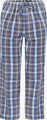 Sugar Pine Pajama pants ' Nightwear ' in Blue: front