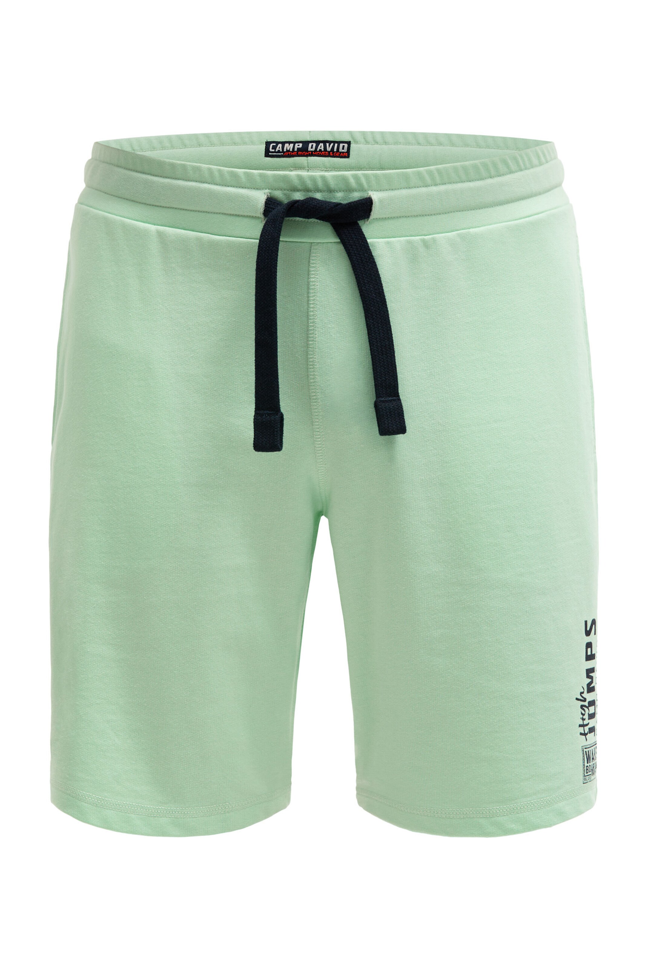 CAMP DAVID Pants in 31-32 in Mint, Item view
