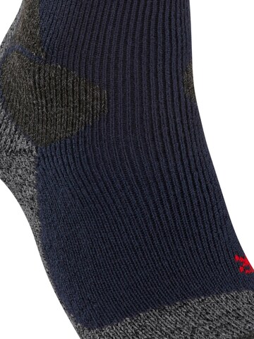 FALKE Athletic Socks 'TK-X Expedition' in Blue