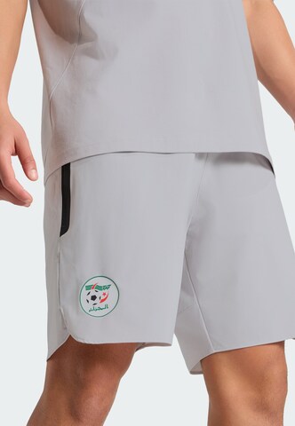 Regular Pantalon de sport 'Algeria Tiro' ADIDAS PERFORMANCE en gris