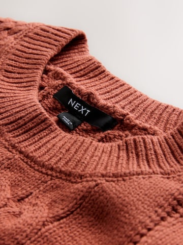 Pullover di Next in marrone