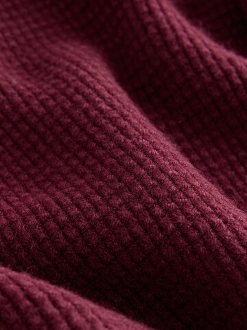 Next Sweater in Purple