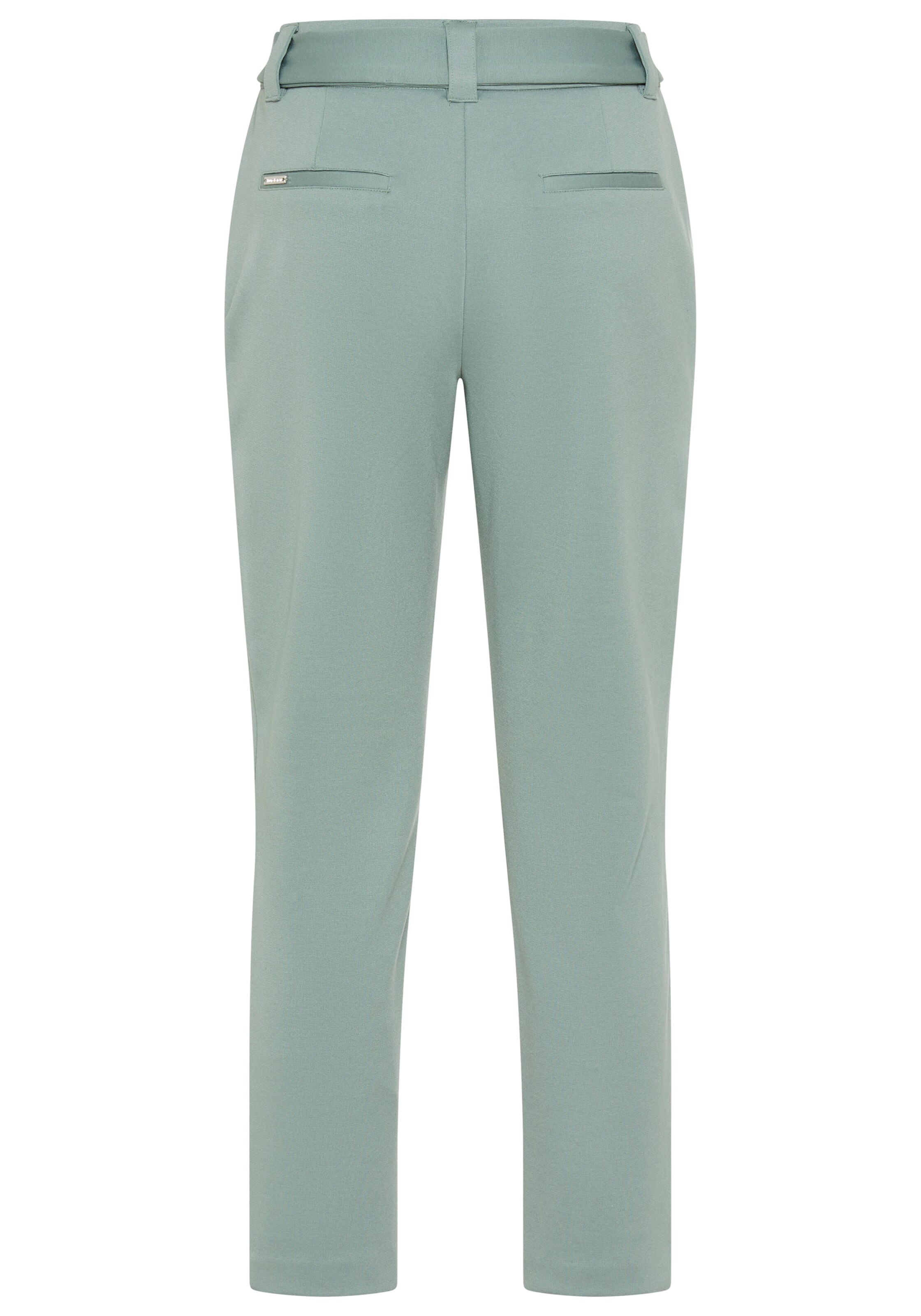 Bruno Banani LM Regular Pants in Green