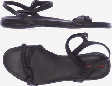 PRADA Sandalen 37 in Braun: predná strana