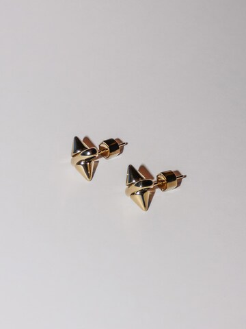 Liebeskind Berlin Earrings in Gold