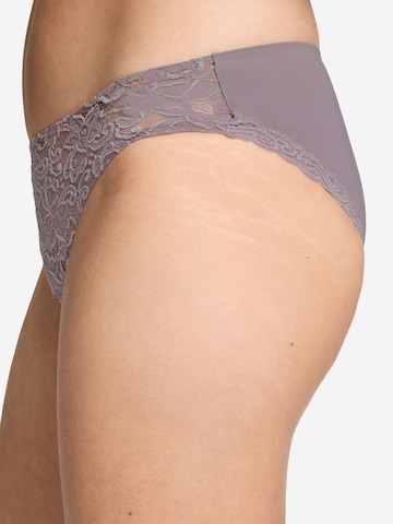 Hanro Panty ' Moments ' in Pink