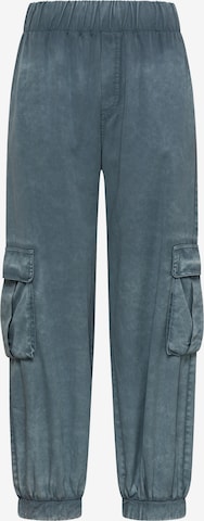 Tapered Pantaloni cargo di DEHA in blu: frontale