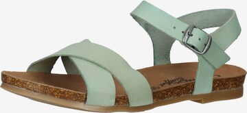 Sandalo di COSMOS COMFORT in verde: frontale