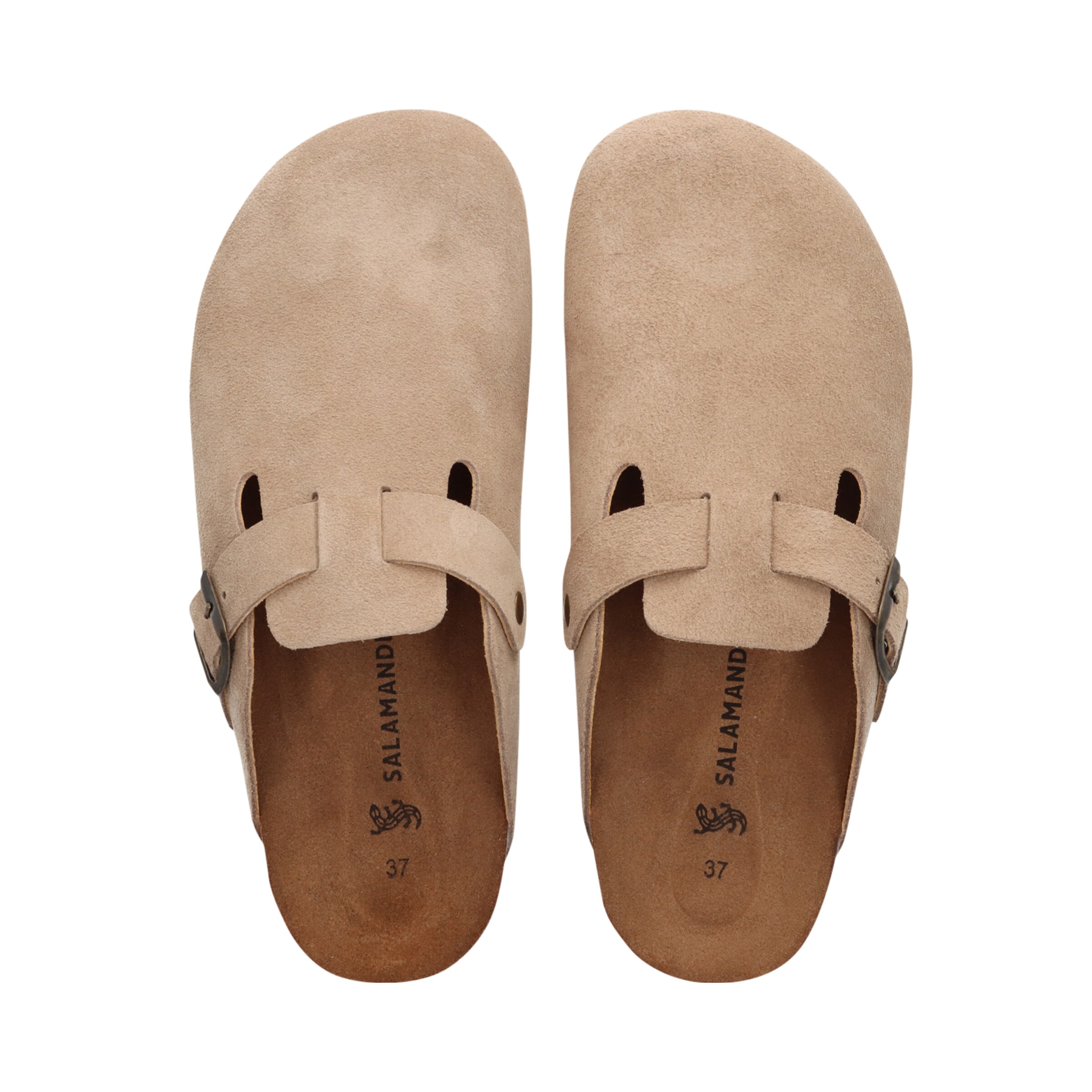 SALAMANDER Mules in Beige