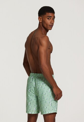 Shorts de bain Shiwi en vert