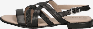CAPRICE Strap Sandals in Black