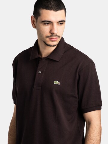 LACOSTE Shirt 'Classic Fit' in Brown