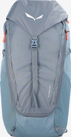 SALEWA Sports Backpack in Grey