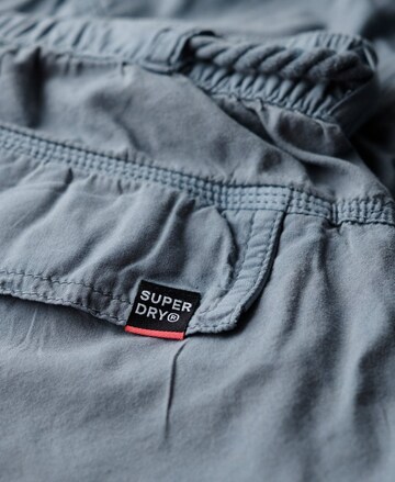 Superdry Loose fit Cargo trousers in Blue