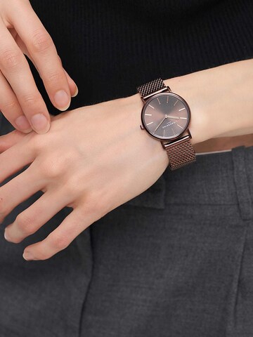 Liebeskind Berlin Uhr in Braun: Vorderseite