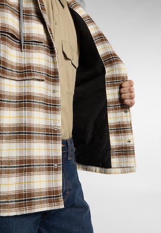 DICKIES Tussenjas in Beige