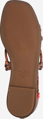 ALDO Sandały z rzemykami 'OCCERAN' w kolorze brązowy