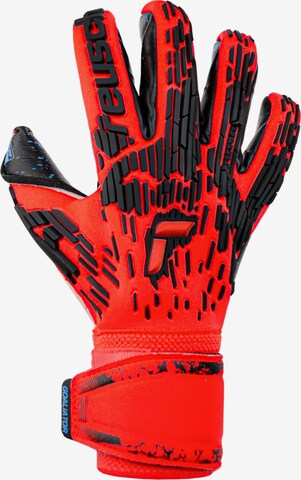 REUSCH Athletic Gloves 'Attrakt Freegel Fusion Goaliator' in Red: front