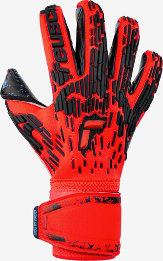 REUSCH Sporthandschuhe 'Attrakt Freegel Fusion Goaliator' in rot / schwarz, Produktansicht