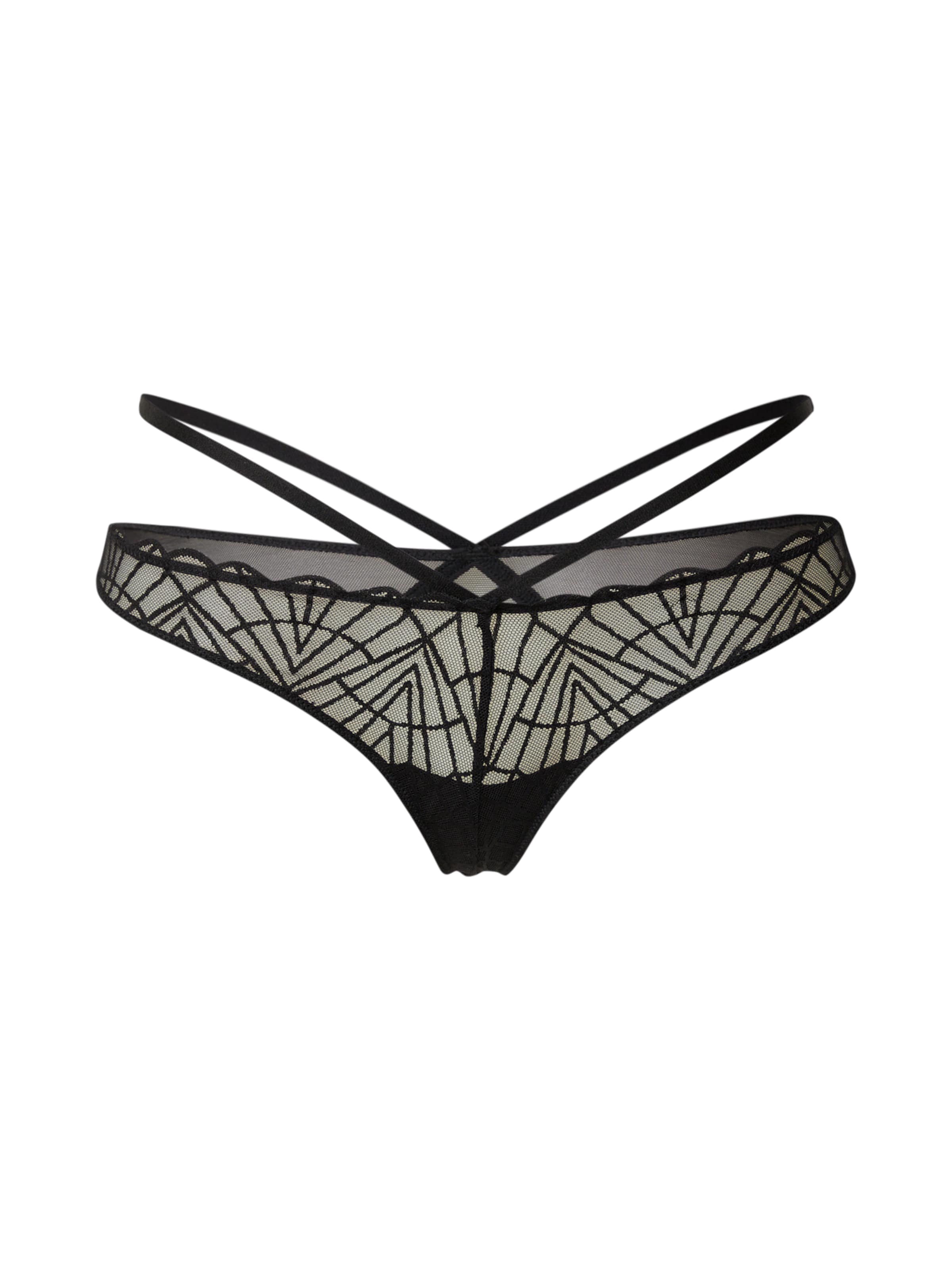 TRIUMPH String 'That Night In Vegas' i sort: forside