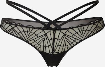 TRIUMPH - Tanga 'That Night In Vegas' em preto: frente