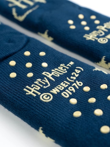 Harry Potter Socks in Blue