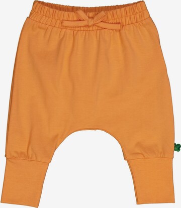 regular Pantaloni '2er-Pack' di Fred's World by GREEN COTTON in arancione