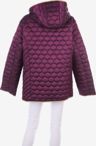 Clarina Jacket & Coat in 4XL in Purple