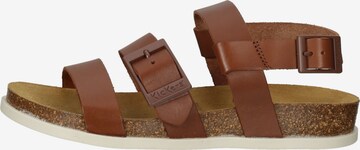 Sandalo con cinturino 'Kick Alana' di Kickers in marrone