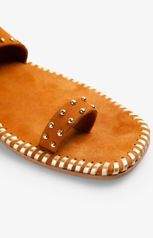 Scalpers Sandały 'Roma Studs' w kolorze brązowy