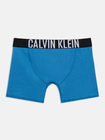 Calvin Klein Underwear Spodnjice | modra barva