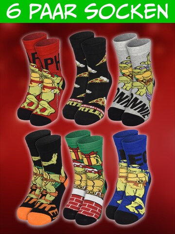 Teenage Mutant Ninja Turtles Socken 'Adventskalender mit 12 Paar'‌‌ in Mischfarben