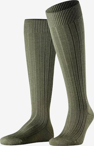 FALKE Knee High Socks 'Teppich im Schuh' in Green: front