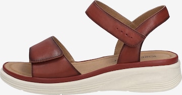 JOSEF SEIBEL Sandaal 'Sevran 01' in Rood: voorkant