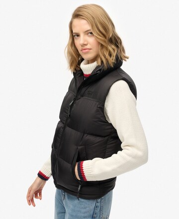 Superdry Bodywarmer in Zwart