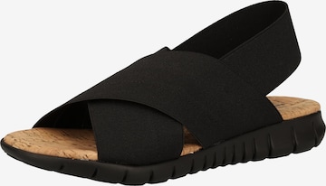 Rapisardi Sandals in Black: front