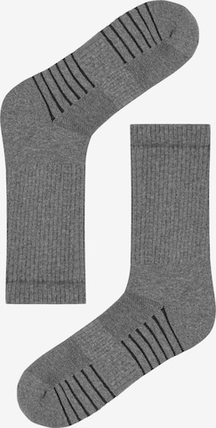 normani Sportsocken in Grau