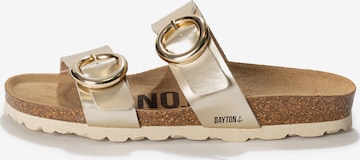 Bayton Pistokkaat 'Lugo' värissä kulta: etupuoli