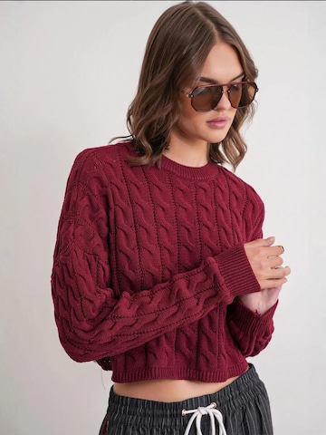 Pullover 'Pullover' di MixRay in rosso: frontale