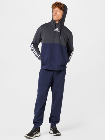 ADIDAS SPORTSWEAR Sportsweatshirt 'Essentials Colorblock Fleece' in Grau