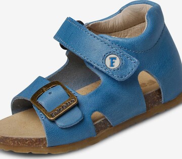 Falcotto Open shoes 'BEA' in Blue: front