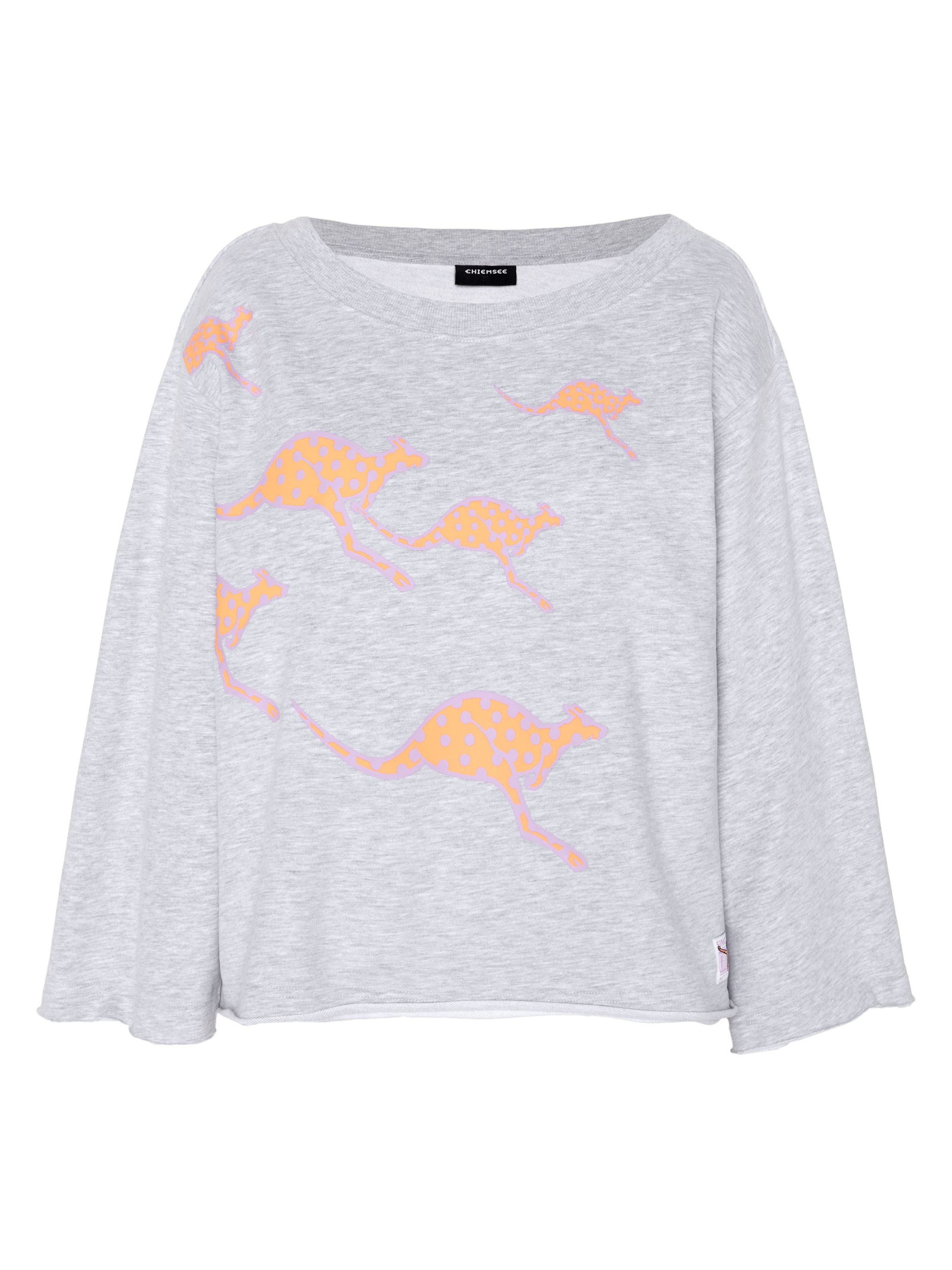 CHIEMSEE Sweatshirt in Grey: front