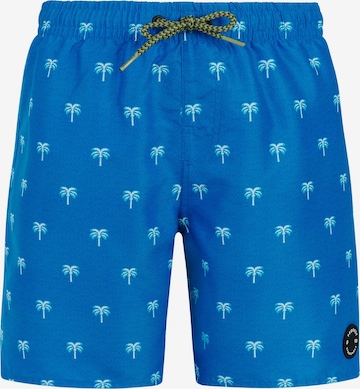 PROTEST Board Shorts 'PRTCalvin JR' in Blue: front