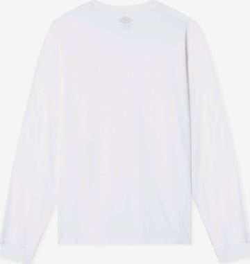 DICKIES Longsleeve 'Mapleton' in Weiß