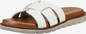 Mule CAMEL ACTIVE en blanc : devant