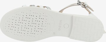 GEOX Sandals in White