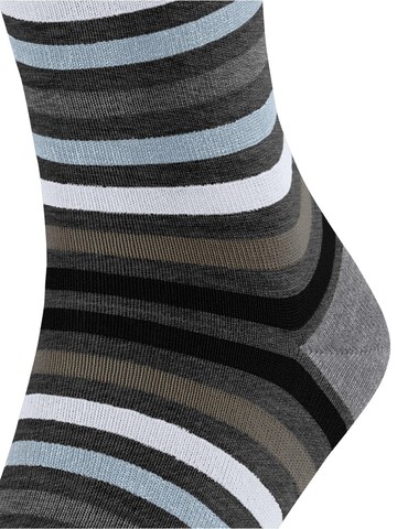 FALKE Socks 'Tinted Stripe' in Black