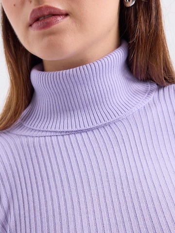 Bigdart Sweater in Purple