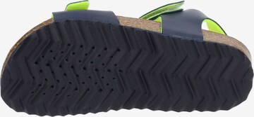 GEOX Open schoenen in Blauw